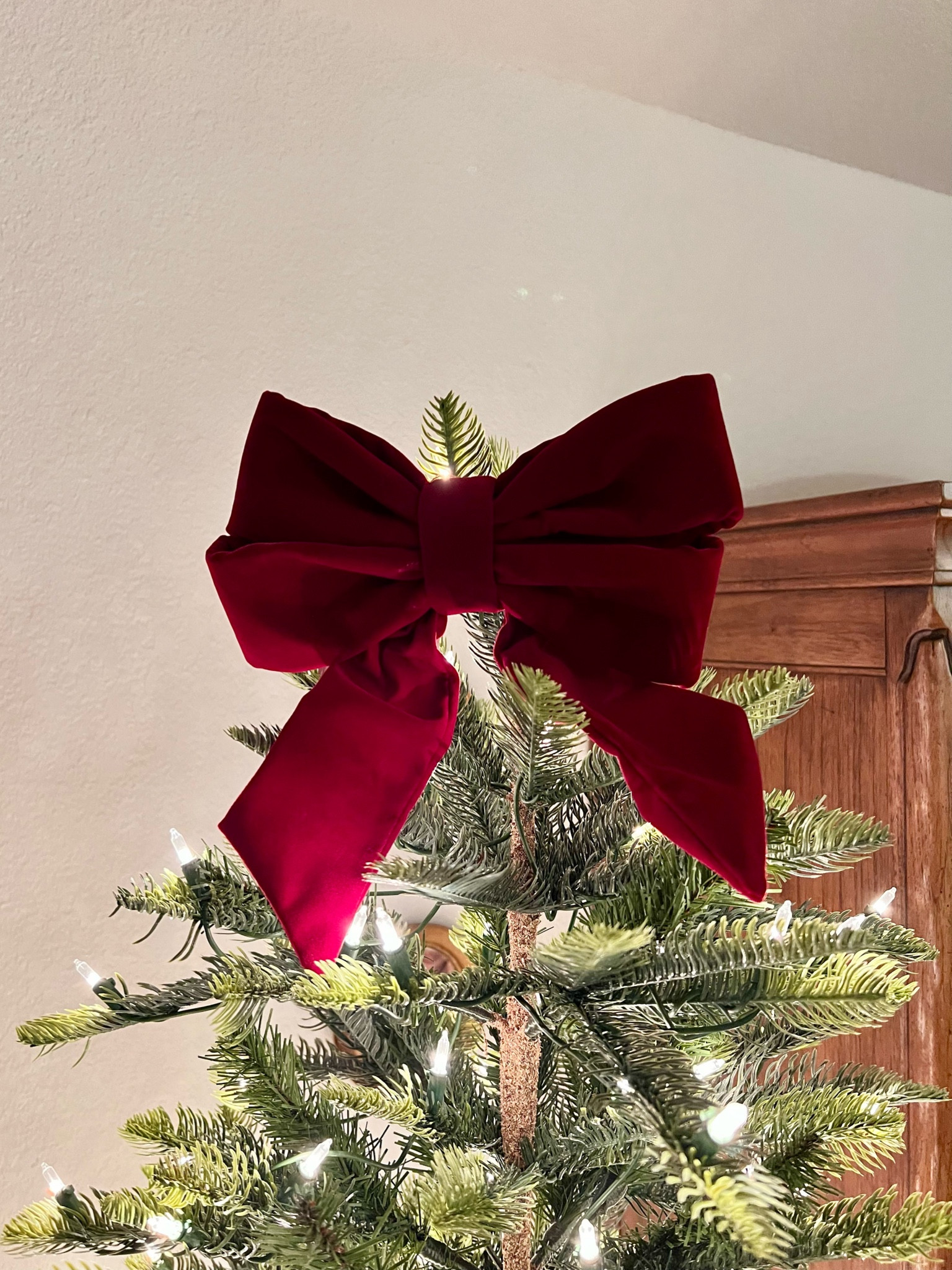 $5 thick velvet bow! Has a clip on the back or a tie so you can hang it. Comes in multiple colors ❤️🎄

#LTKHoliday #LTKSeasonal #LTKHome