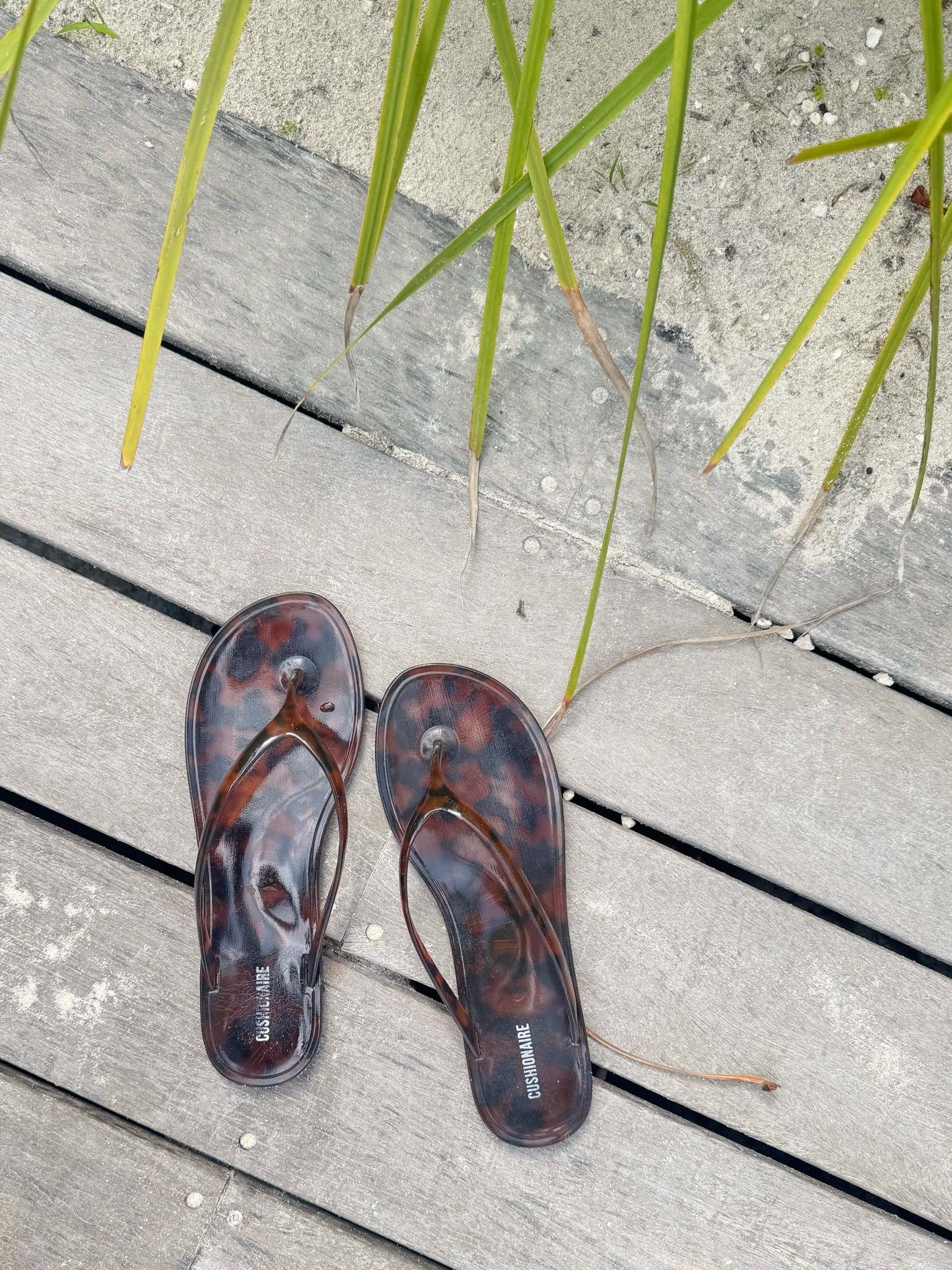Tortoise jelly flip flops— I sized up a full size!

#LTKSwim #LTKSaleAlert