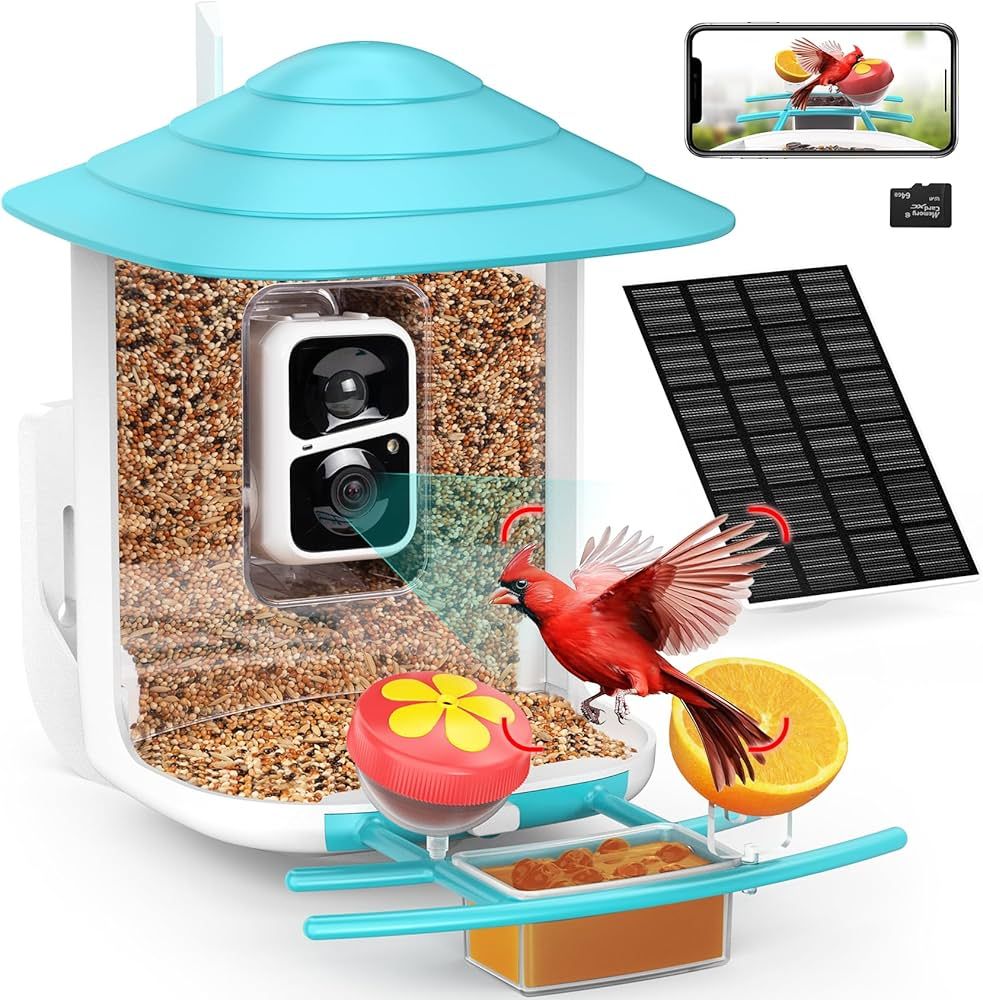 Smart Bird Feeder with Camera+Solar Panel 64G SD Card 6-in-1 Perch, 160°View Auto Capture Bird V... | Amazon (US)
