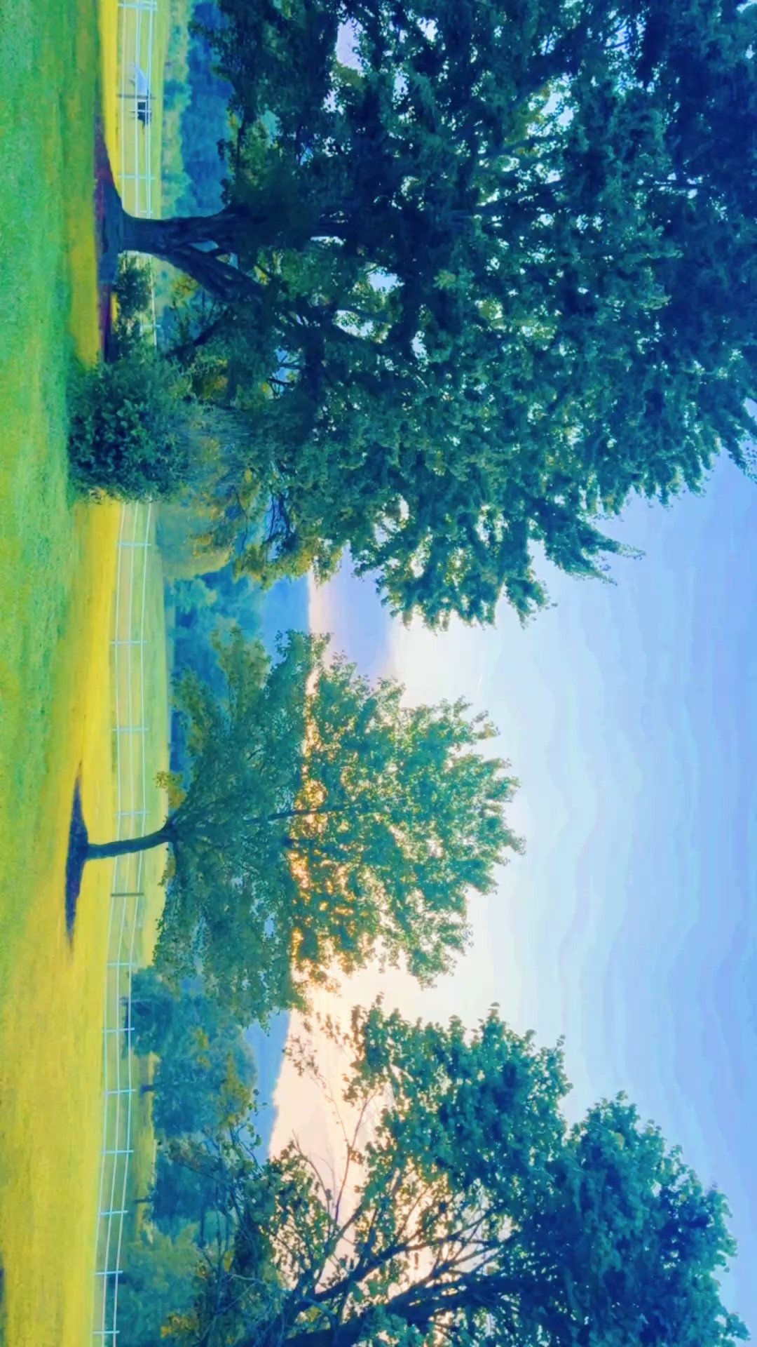morning running views !!!