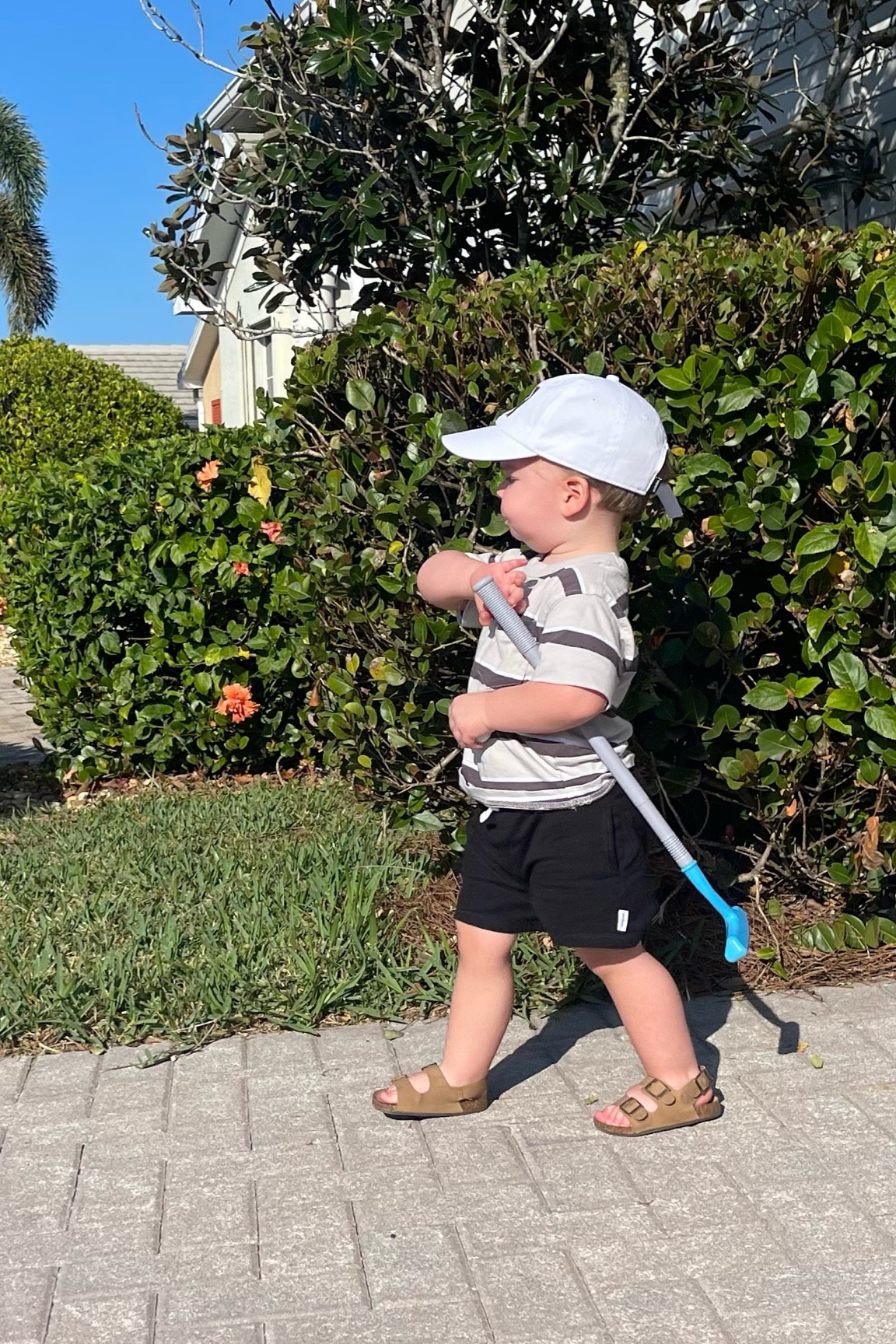 Toddle vacation outfit 