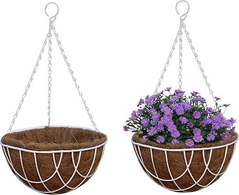 TABOR TOOLS MT2103A 2-Pack Metal Hanging Planter Basket with Natural Coconut Coir Liner, Chain an... | Amazon (US)