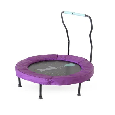 Skywalker Trampolines 36" Eeyore Folding Mini Trampoline | Wayfair Professional