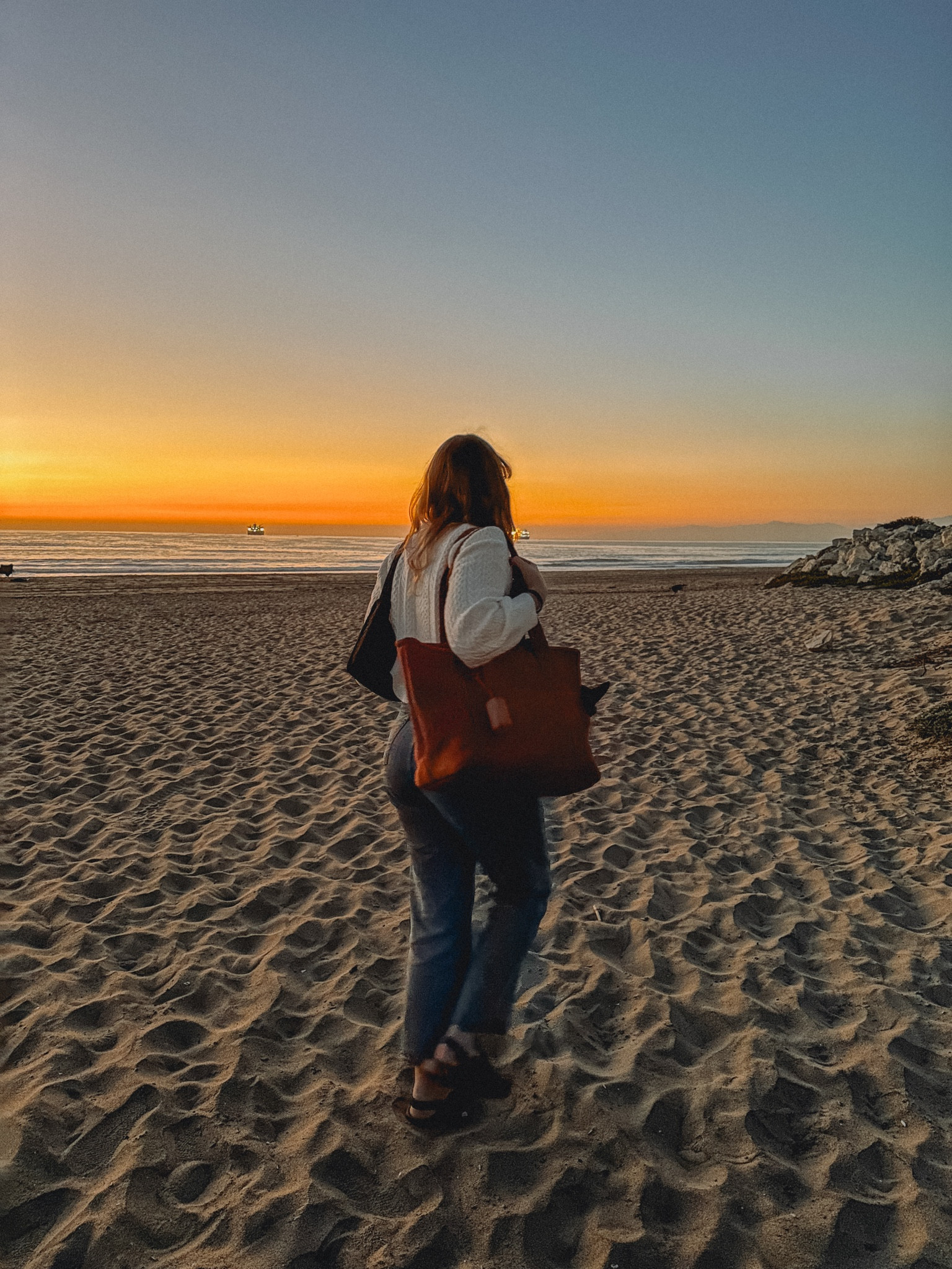 At El Porto beach in California in December ‘23 ~

I’ve been carrying this Wild One everyday dog carrier bag around everywhere for my 5lb chihuahua Samantha while the weather is cold and she loves it! It’s pretty big, so she makes a little nest and nuzzles in whenever it’s colder outside. 

I’m also obsessed with this sweater, which is sold out in my white color but still available in the red color in a few sizes. 

#LTKGiftGuide #LTKmidsize #LTKSeasonal