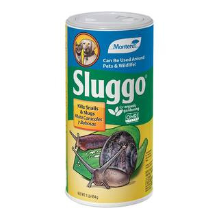 1 lb. Sluggo | The Home Depot