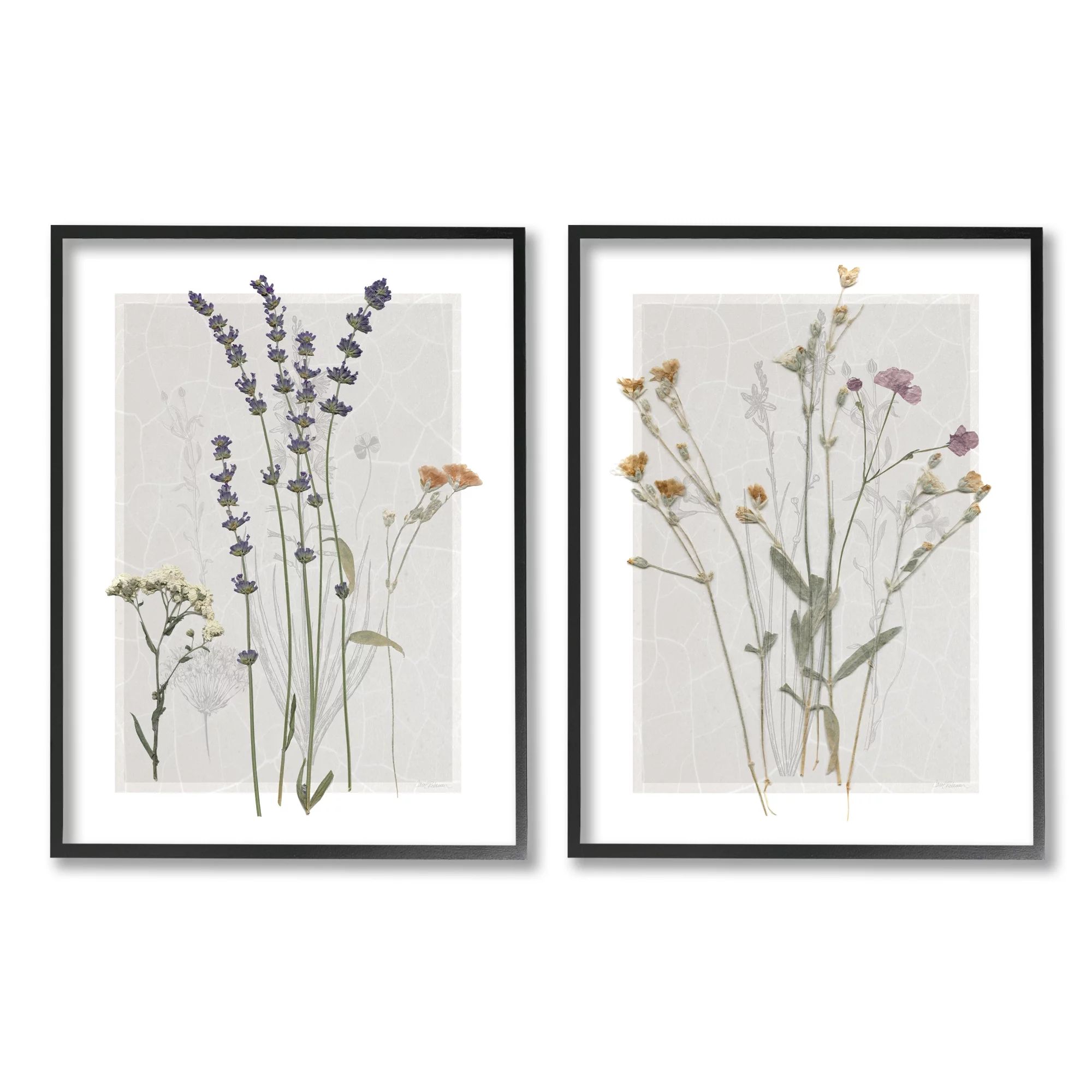 Stupell Industries Delicate Wildflower Herb Sprigs Lavender Nature Botanicals Graphic Art Black F... | Walmart (US)