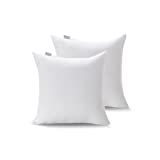 Acanva Decorative Throw Pillow Inserts for Sofa, Bed, Couch and Chair, Square Euro Sham Form Stuf... | Amazon (US)