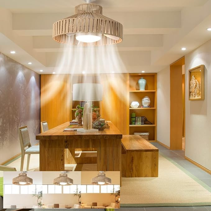 18W LED 20” Smart Boho Nylon Caged Dimmable Ceiling Fan with Light,White Brown Circle Chic Fand... | Amazon (US)