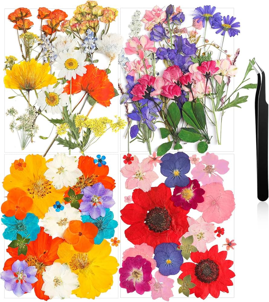 Nuanchu Pressed Flowers Bulk Dried Flower for Crafts, Dried Flower Leave Natural with Tweezer for... | Amazon (US)