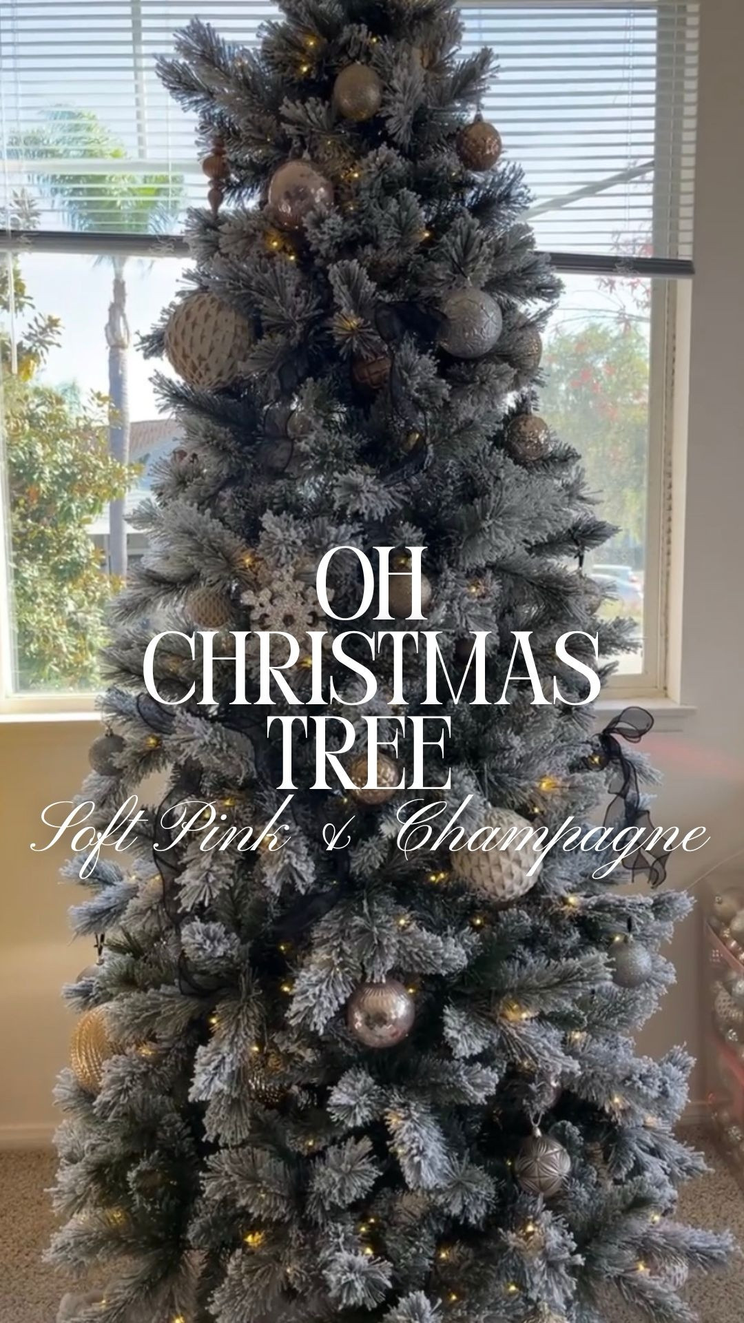 A no-edit video for my family & friends 🤍🎄
Sharing my 7.5 ft Christmas tree exactly as it is right now — decorated with 76 ornaments in champagne, gold, silver, and mercury pink, finished with black lace bows for an elegant, slightly romantic holiday look ✨

I wanted a tree that felt classic but soft, cozy, and a little unexpected with the pink mercury glass tones, and I’m really loving how it turned out so far 🤍🎀

Now I need your honest opinion 👇
Should I add more ornaments?

#LTKHoliday #LTKHome #LTKDecor #LTKSeasonal #LTKFinds #ChristmasTree #75ftTree #TreeDecor #HolidayDecor #OhChristmasTree #ChampagneChristmas #GoldChristmasDecor #SilverChristmas #PinkChristmas #MercuryGlassDecor #BlackBowDecor #NeutralChristmas #ElegantChristmas #HolidayInspo #LTKHomeDecor

#LTKmomlife #LTKdayinmylife #LTKHoliday