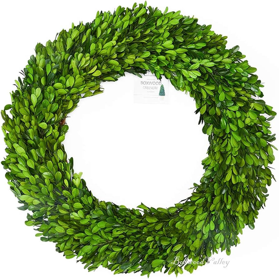 20 inch X-Large Preserved Boxwood Wreath, Wedding Home Decoration Full Green Real Boxwood Wreath,... | Amazon (US)
