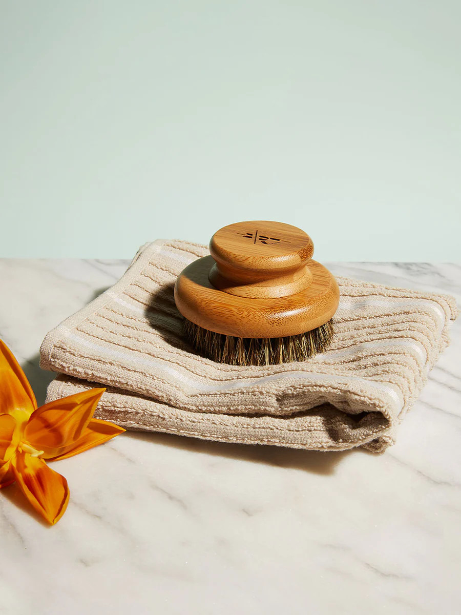 The Dry Brush | Kate McLeod