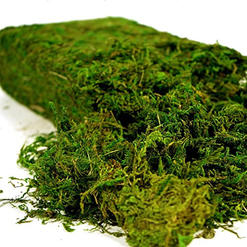 USMOLA Artificial Moss 16oz – Fake Moss for Crafts, Fairy Gardens, Wedding & Party Decor, Centerpieces & Potted Plants (Fresh Green, 455g) | Amazon (US)