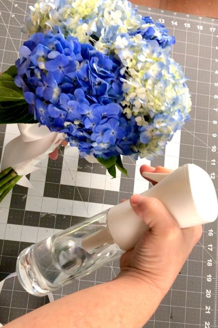 Keep your spring blooms fresh with this automatic mister! It has so many uses!

Use it for crafting, cleaning, hair and watering plants!🌱 

I’m using it here on a bouquet of hydrangeas—💙



#LTKSeasonal #LTKhome