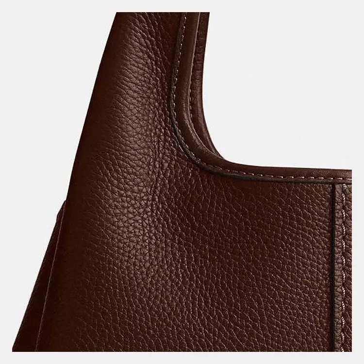 Lana Shoulder Bag 23 | Coach (US)