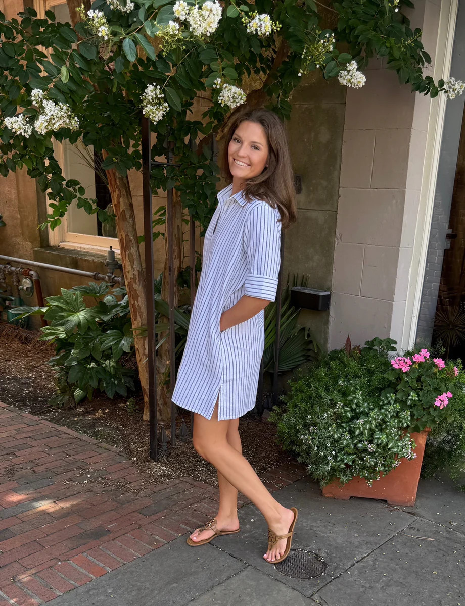 Darren Mini Dress Short Sleeve Denim Blue Stripe Linen | Madison Mathews