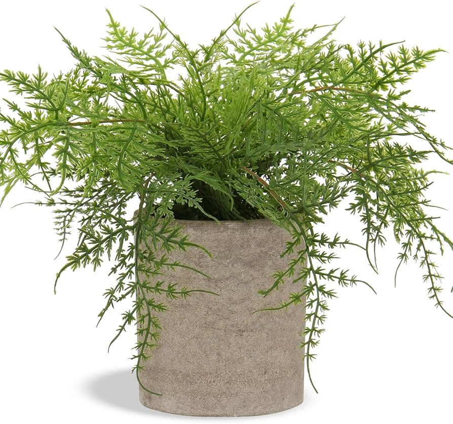 Small Fake Plant Potted Plants Artificial Decor Silk Ferns Plant Faux Plants in Pots for Home Liv... | Amazon (US)