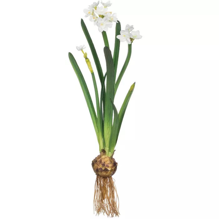 Sullivans Artificial Paperwhite With Bulb Stem 20"H White | Target
