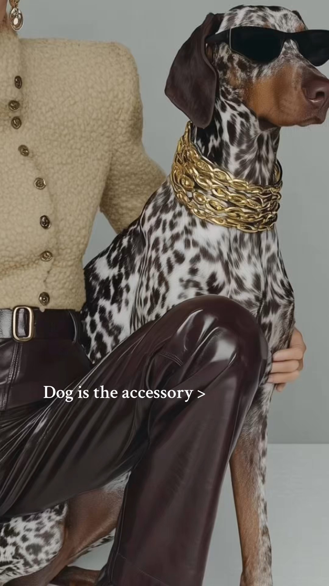 Dogs as the accessory > 









quiet luxury winter outfits, elevated winter wardrobe essentials, neutral winter outfit ideas, chic cold-weather layering, minimalist winter capsule wardrobe, holiday outfit inspiration for women, festive but minimal holiday style, what to wear to a holiday party, chic New Year’s Eve outfit ideas, holiday gift ideas for her, luxury gifts for her that feel personal, fall-to-winter outfit inspiration, leather pants outfit ideas for winter, timeless coat and boot pairings, winter outfits for everyday elegance



#LTKootd #LTKOver40 #LTKgrwm