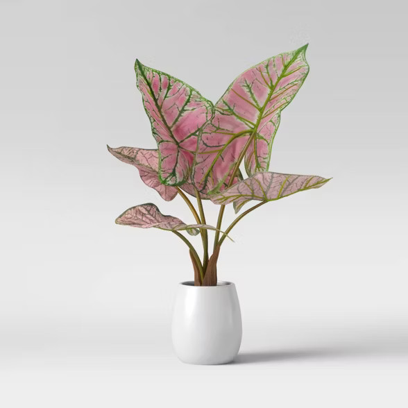 Faux Caladium Leaves in Pot Pink - Opalhouse™ | Target