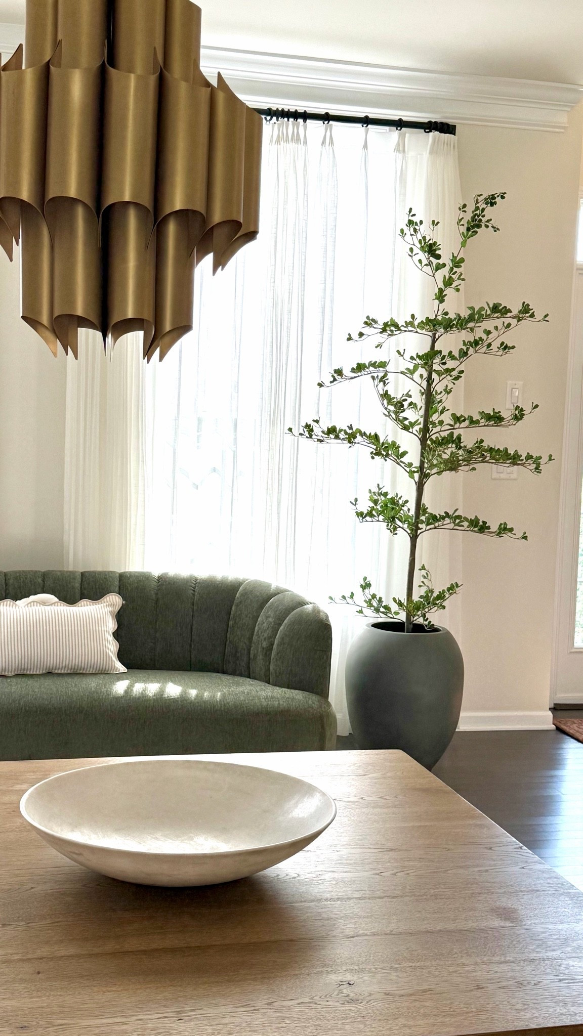 Black Olive tree | Natural
Looking | Trees Artificial Plant | Affordable Olive tree

#LTKHome