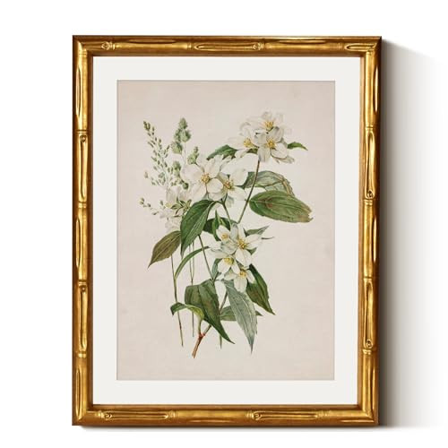 InSimSea Gold Bamboo Framed Canvas Wall Art, Neutral Floral Botanical Paintings, Antique Vintage Picture Frame with Mat, Victorian Home Wall Decor for Living Room Bedroom, 11x14inch | Amazon (US)