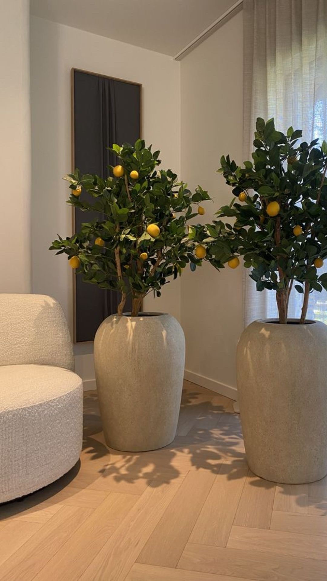 a lemon tree just brings life into a space 🍋✨ it’s said to bring good luck, positivity & fresh energy into your home or patio, plus it instantly makes everything feel more elevated & styled like a dream retreat 🌿💛

#LTKOver40 #LTKSaleAlert #LTKHome