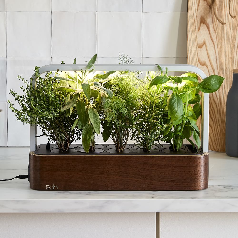 Small Garden | West Elm (US)