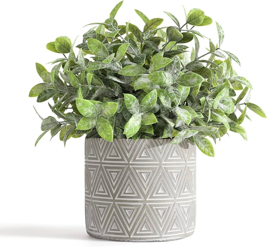 Fake Plant with Pot for Coffee Table Desk Mantle Entryway Shelf Decor Realistic Artificial Plants... | Amazon (US)