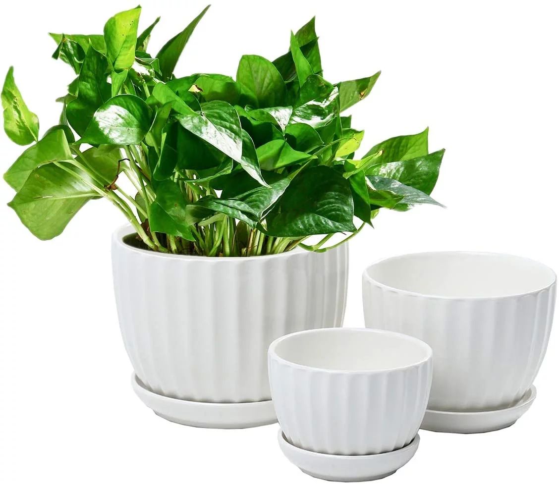 Ceramic Flower pots, White Garden Pots Succulent Cactus Planters with Drainage Saucers, Indoor & ... | Walmart (US)
