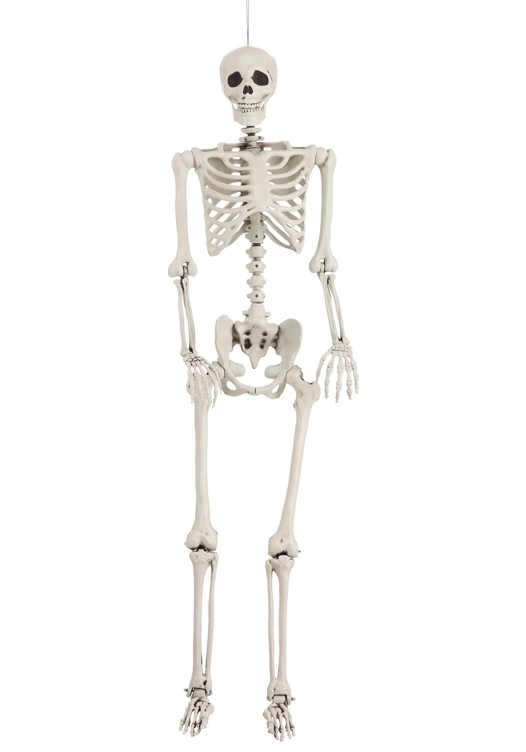 5 Ft Posable Skeleton Prop | Walmart (US)