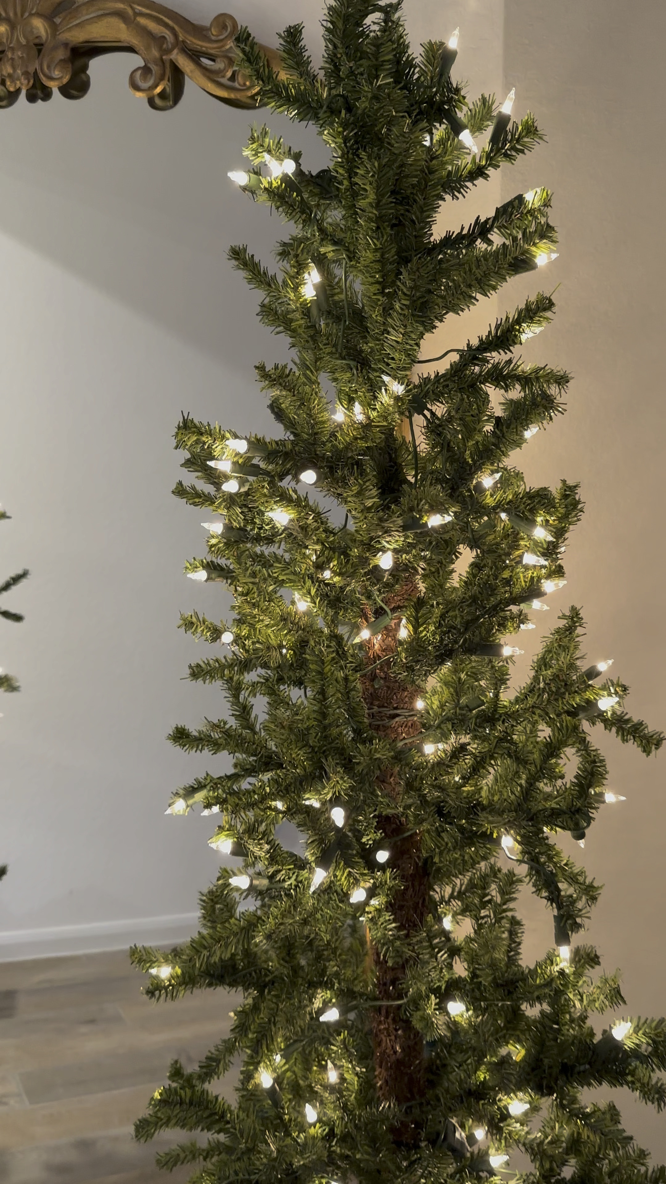 Viral Target Christmas trees

#LTKSeasonal #LTKHoliday #LTKFindsUnder50