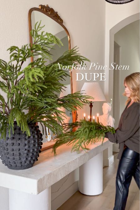 The best dupe for the Norfolk pine stems!! Just $15 each and 40” long!!Sale Sale 

#LTKHoliday #LTKHolidaySale #LTKhome
