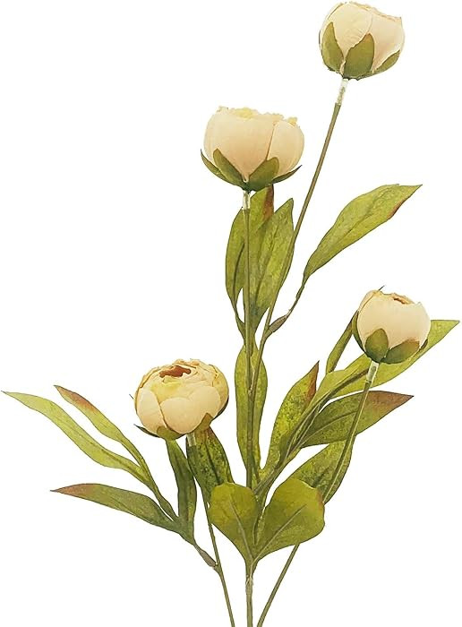 Ashland Tan Peony Stem | Amazon (US)