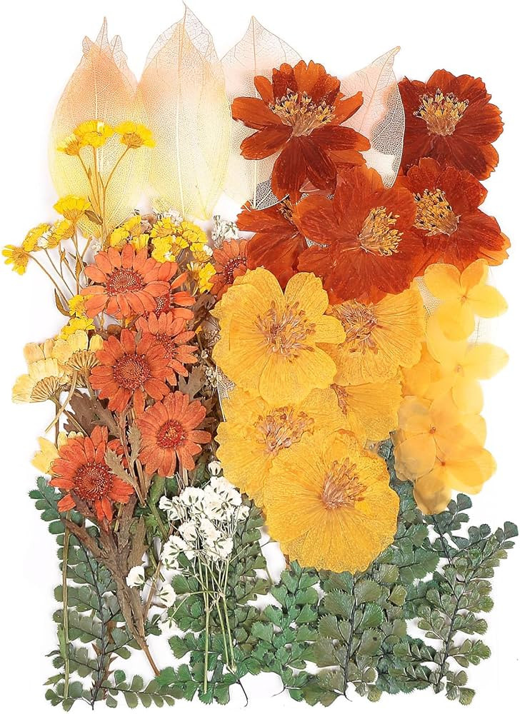 100 PCS Real Dried Pressed Flowers Leaves Natural Plant Herbarium for DIY Resin Mold Jewelry Maki... | Amazon (US)