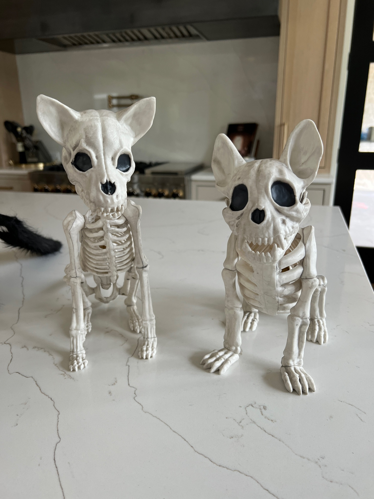 A few Halloween items I picked up from Target! 

#LTKhome #LTKSeasonal #LTKHalloween