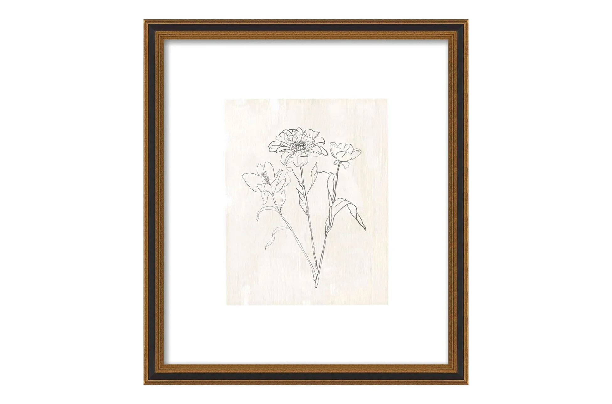 Floral Study | North and Finch