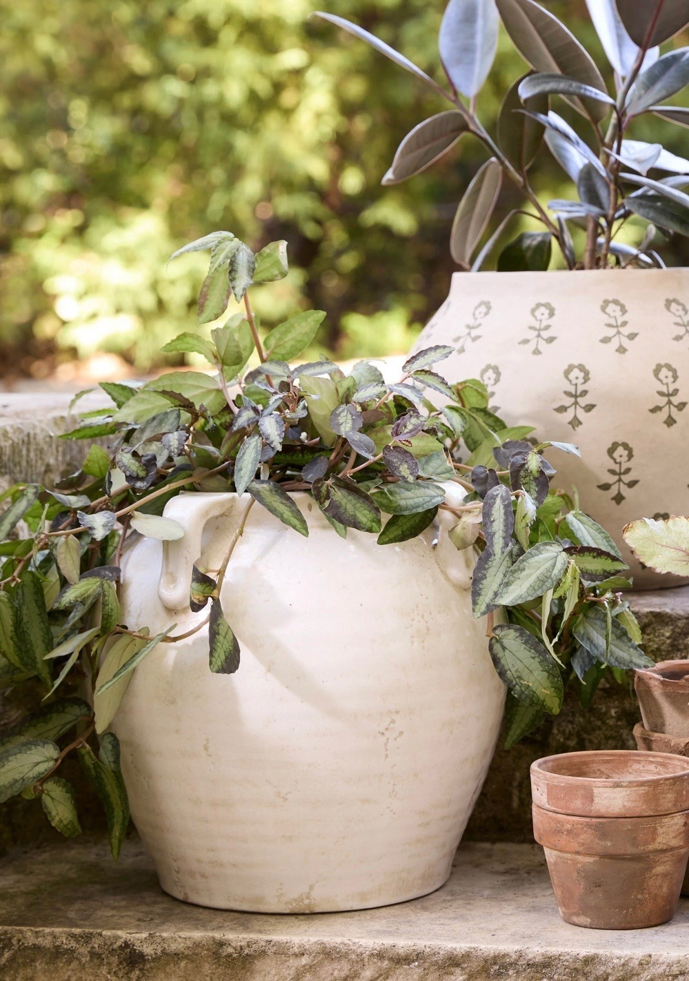 Sale!! Magnolia Home vases up to 60% off 🤎

#LTKHome #LTKSaleAlert