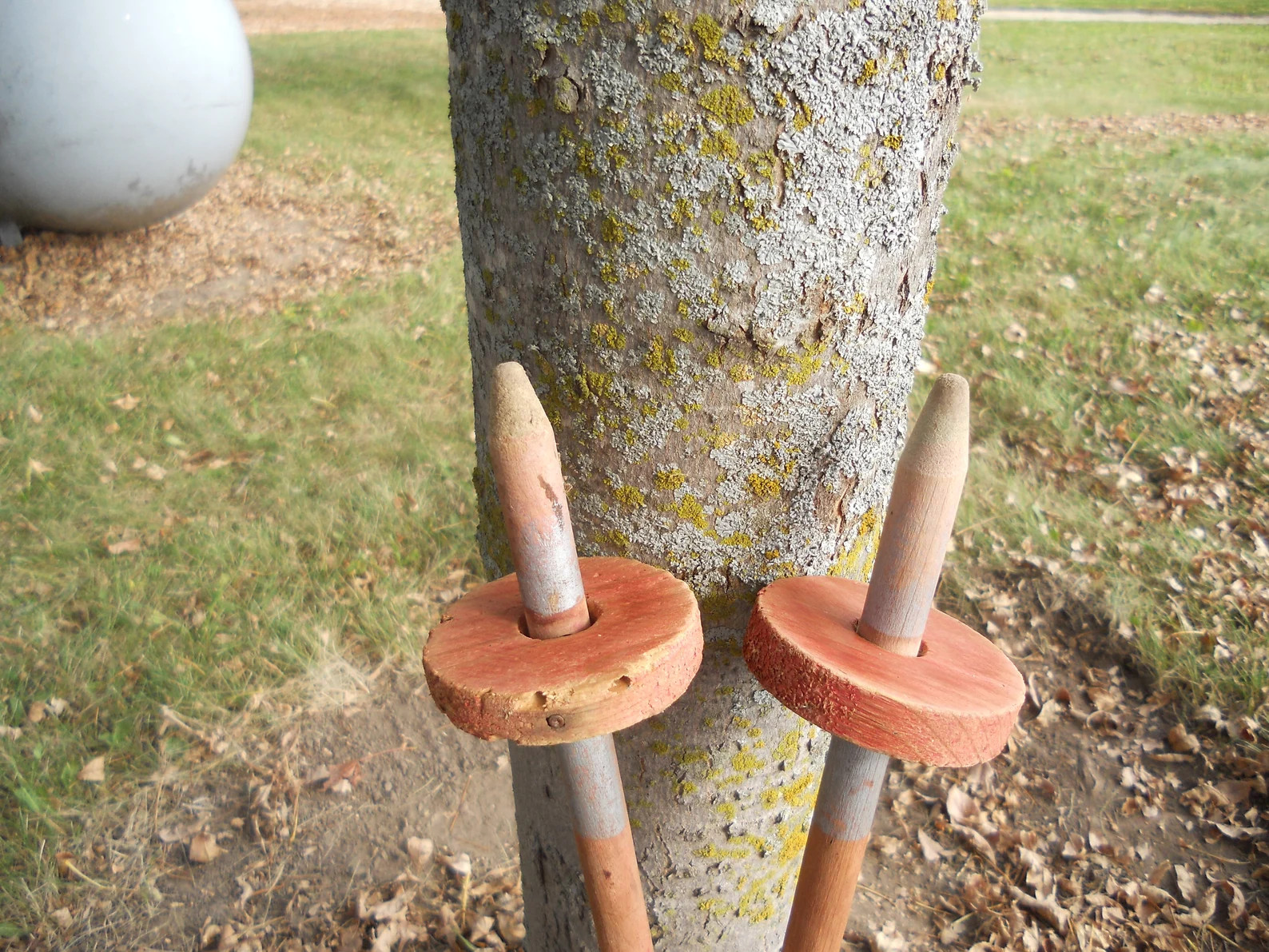 Vintage Wooden Ski's Childrens Ski's With Poles - Etsy | Etsy (US)