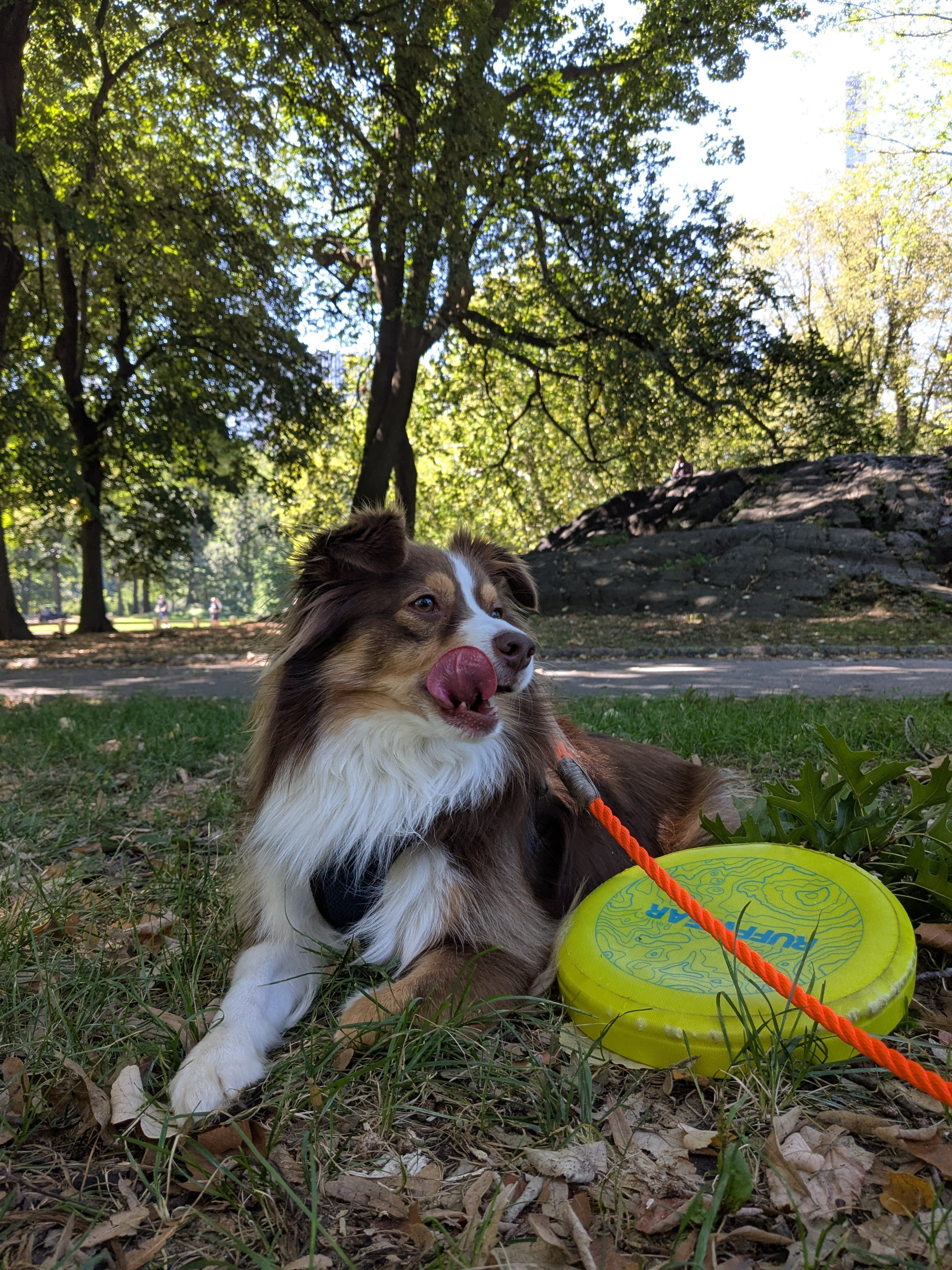 #LTKdayinmylife #LTKgrwm #LTKActive