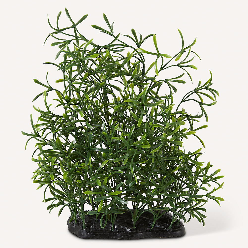 Nate & Jeremiah Rosemary Plant Reptile & Aquarium Décor - 9" | PetSmart