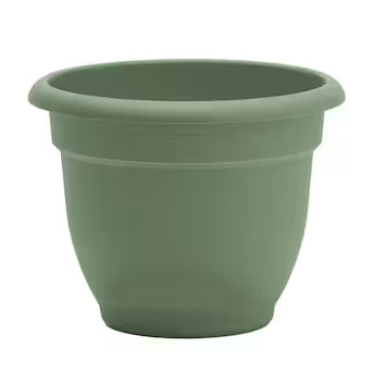Bloem Round 11.0-in W x 11.0-in L Green Plastic Indoor/Outdoor Self Watering Planter | Lowe's