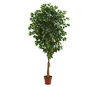 Nearly Natural 6' Ficus Artificial Tree | QVC