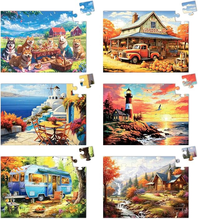 6 Pack 36 Large Piece Jigsaw Puzzles for Seniors Alzheimer Product for Elderly Dementia Activitie... | Amazon (US)