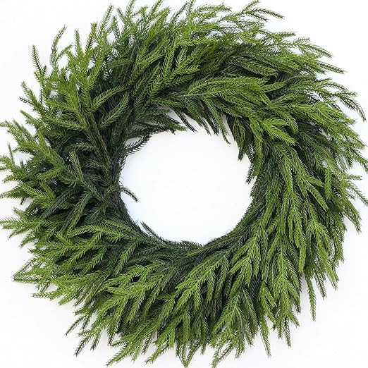 24" Real Touch Norfolk Pine Wreath for Front Door, Artificial Christmas Wreaths Faux Pine Needles... | Amazon (US)