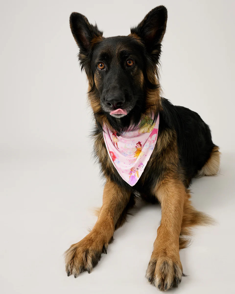 Disney Princess Garden Pet Bandana | Little Sleepies