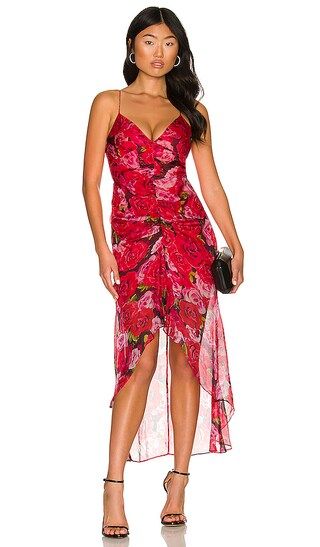 Sofia Dress in Red & Pink | Revolve Clothing (Global)