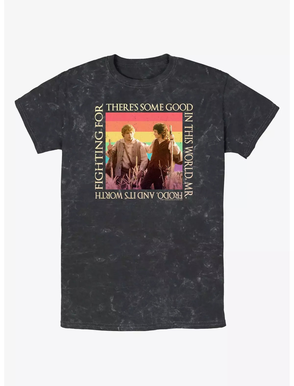 The Lord of the Rings Sam and Frodo Good In The World Mineral Wash T-Shirt | BoxLunch