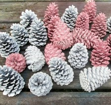 15 Pink & White Pine Cones-Hand Painted All Natural Premium Quality Cones | eBay US