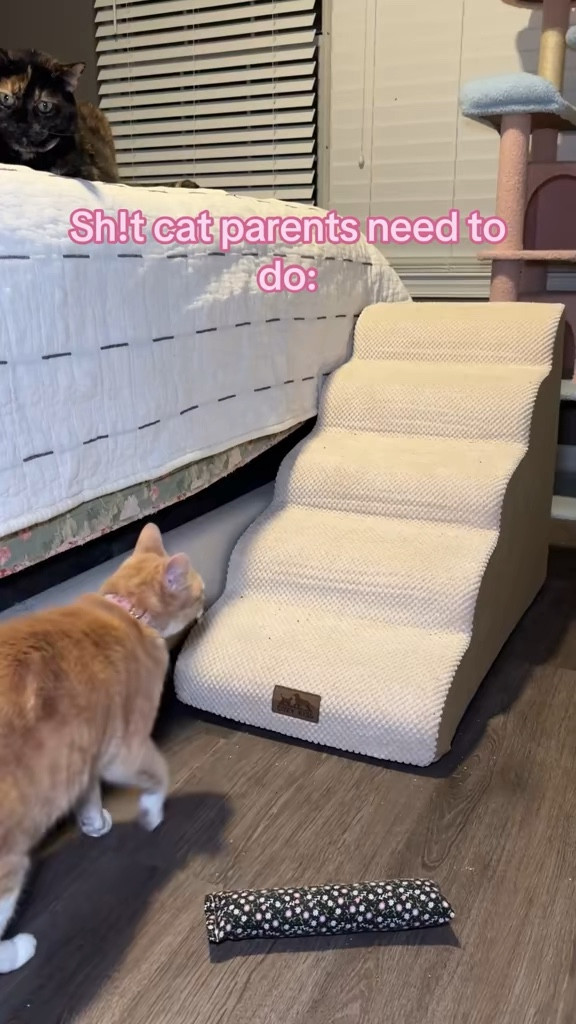 So happy we got our girls a ramp to get on our tall bed. The earlier the better, even if they're not seniors 

 #LTKdayinmylife #LTKHome #LTKSaleAlert